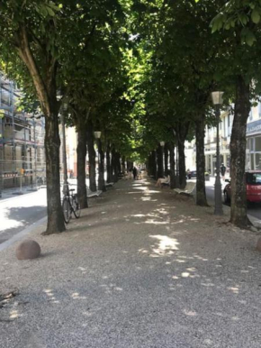 Wohlfühloase im Zentrum von Baden Baden
